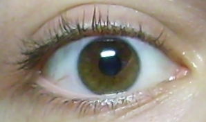 Алексей Гаркуша