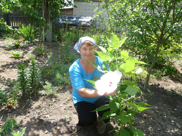 Лариса Неня