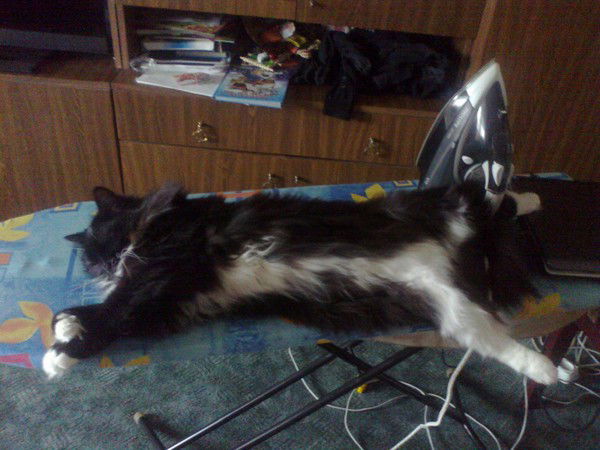 Александр Торовин