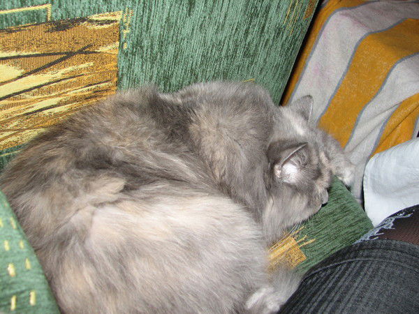 Татьяна Майстришина