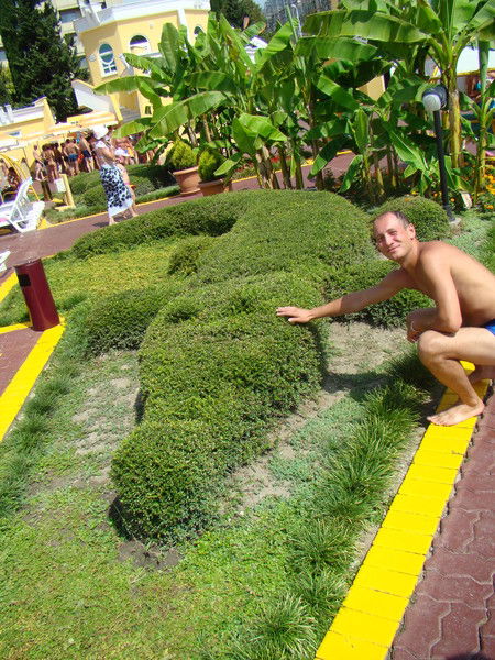 Дмитрий Фёдоров