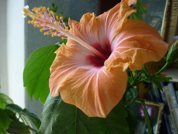 Татьяна Львунина