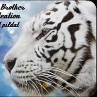 Андрей Цевелёв