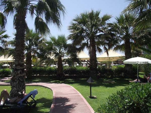 Наташа Староверова