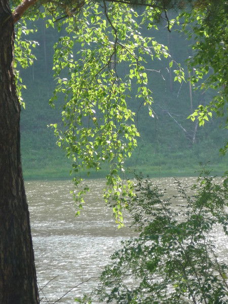 Наталья Вольф