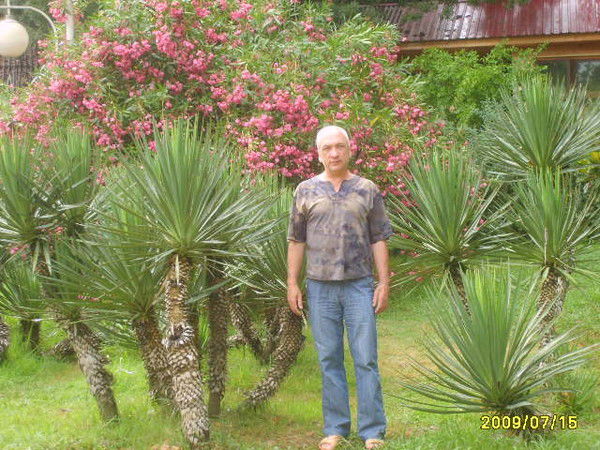 Василий Кузнецов