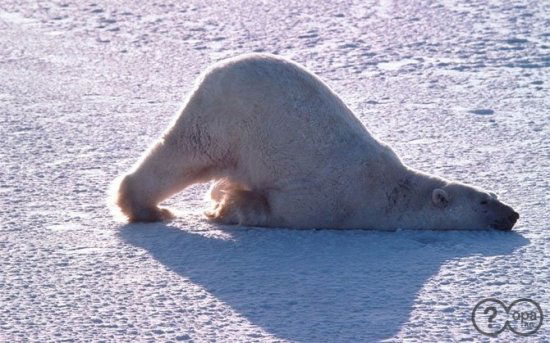 Ульяна Юрьевна