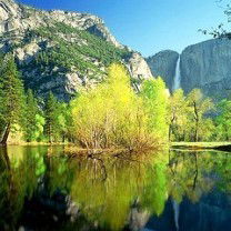 Святослава Святослава