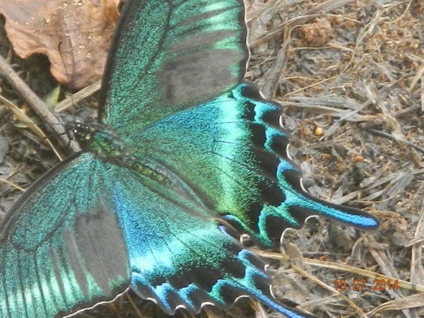 Игорь Малов