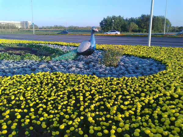 Риелторские Услуги Г. Астана