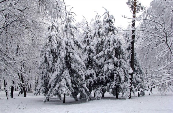 Таня Толстова