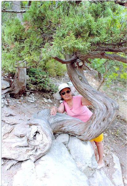 Светлана Шин