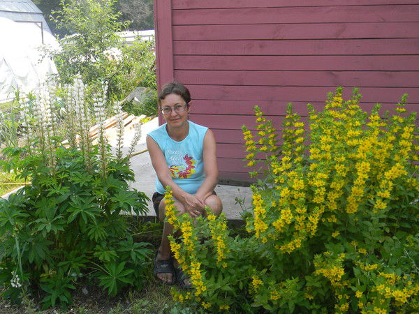 Наталя Шерер