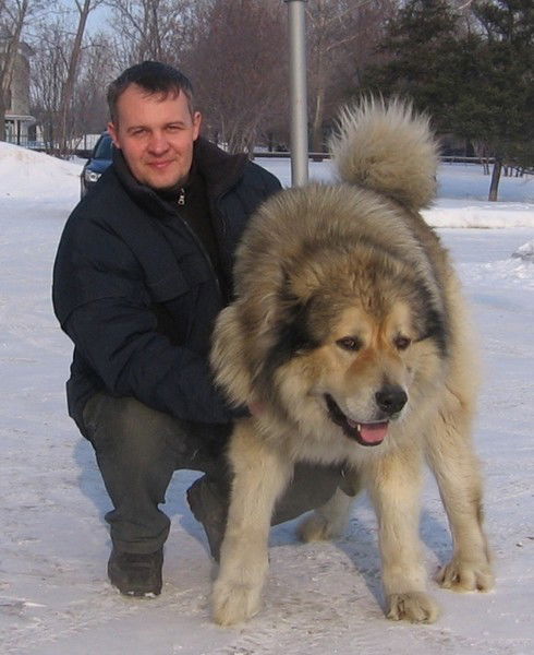 Сергей Яковлев