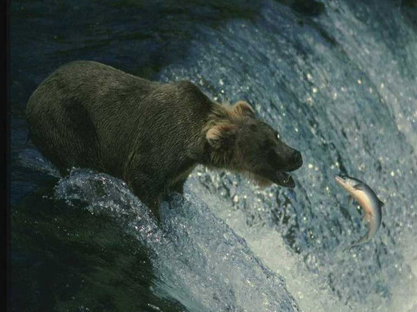 Владимир Зайцев