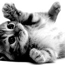 Настюшка Котёнок
