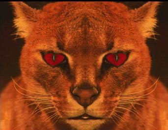 Горлов Денис