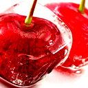 Дарья Самойлова