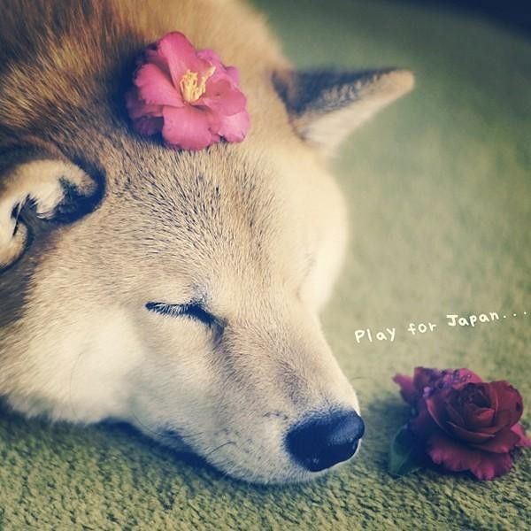 Светлана Игошина