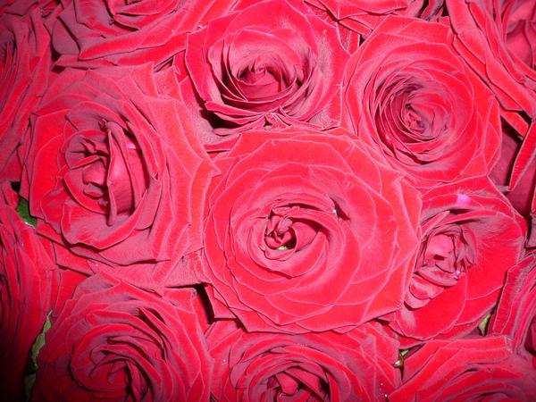 Наталья Шпичак