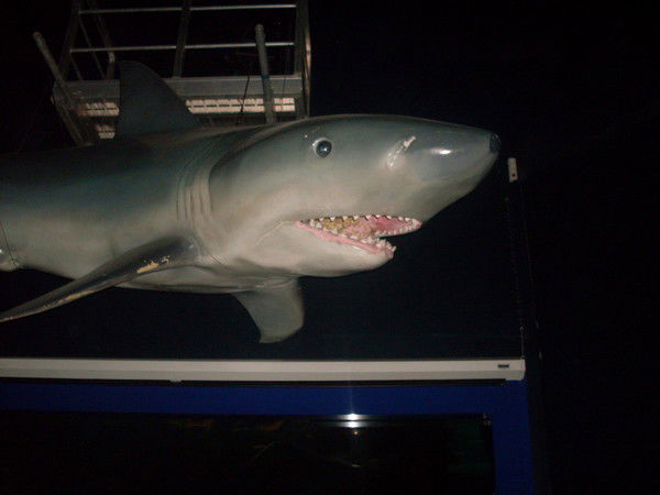 Иван Иосифович