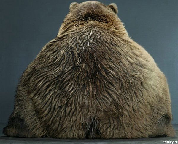 Михаил Кузнецов