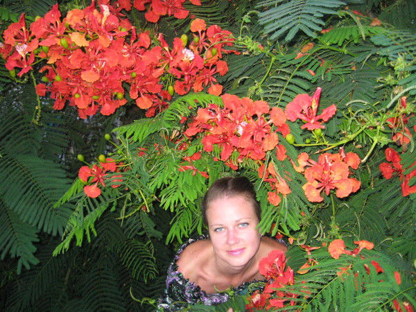 Наталья Бузинова