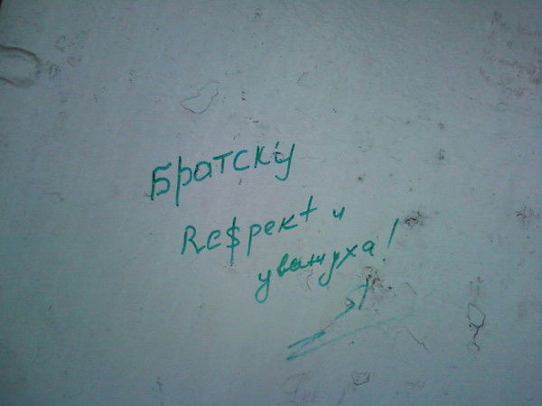 Антон Палкин