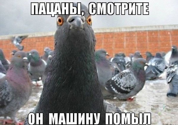 Толян Извксный