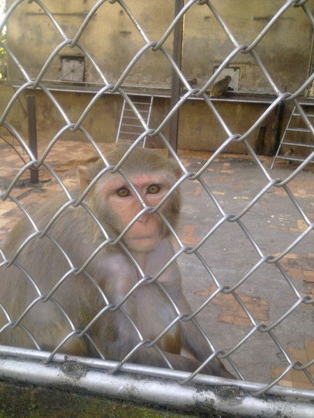 Андрей Чепрунов