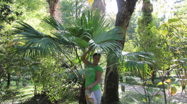 Татьяна Сергеева