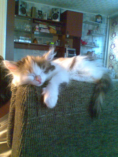 Александр Кондылев