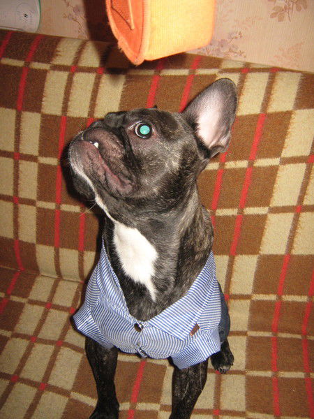 Сергей Ярушкин