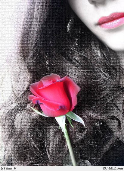 Елена Гуцалова