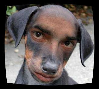 Андрей Кузмичев