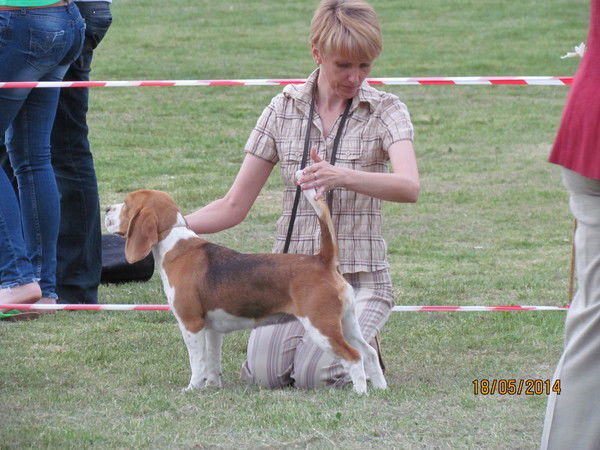 Димон Куликов