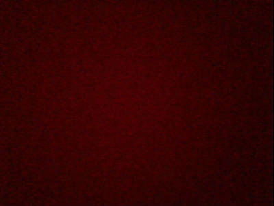 Степан Николаев