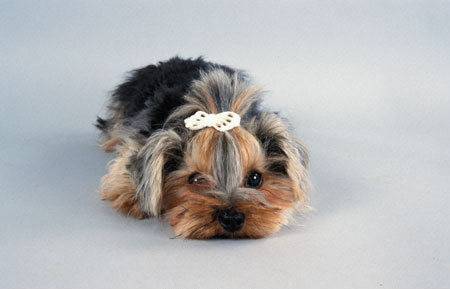 Саша Ворошилова