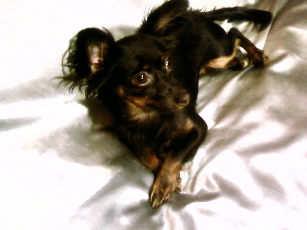 Ольга Кузнецова