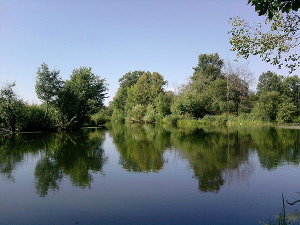 Галина Корчмарек