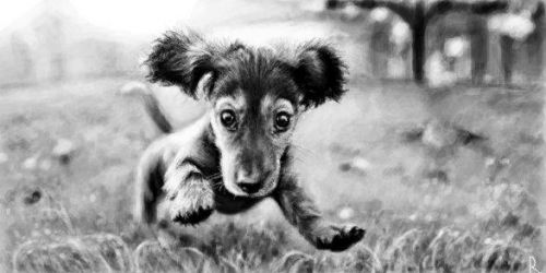 Александра Шептунова