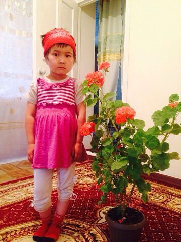 Абдыкадыр Турдубаев