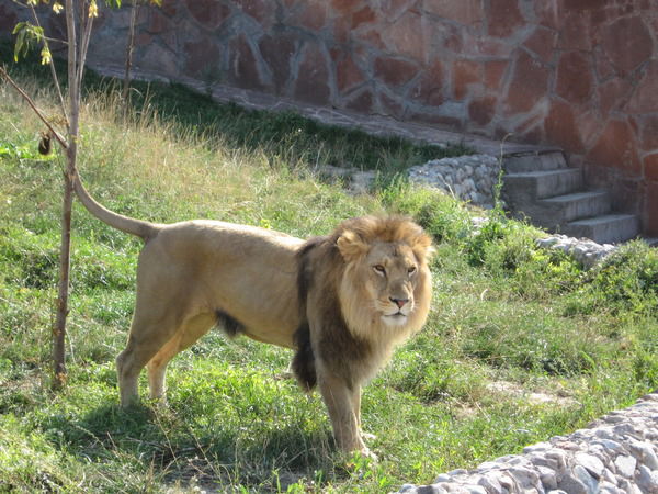 Наталья Улазова