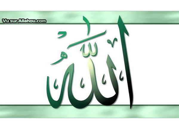 Магомед Рамазанов