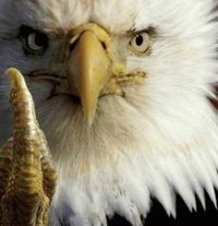 Саша Могатi