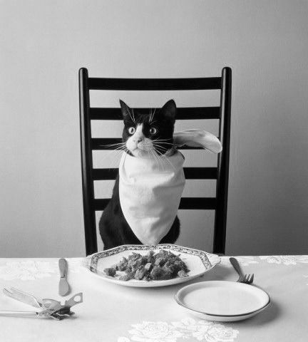 Максим Иванов