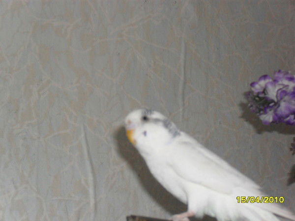 Виктория Селивёрстова