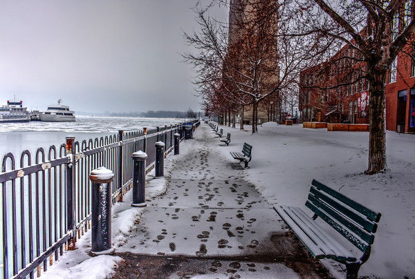 Видади Гашимли