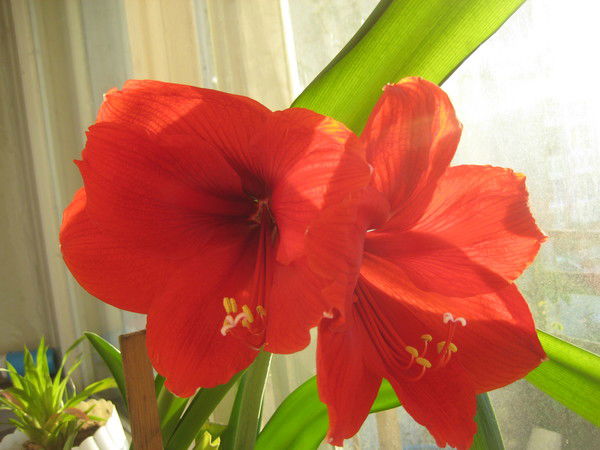 Наталья Наталья