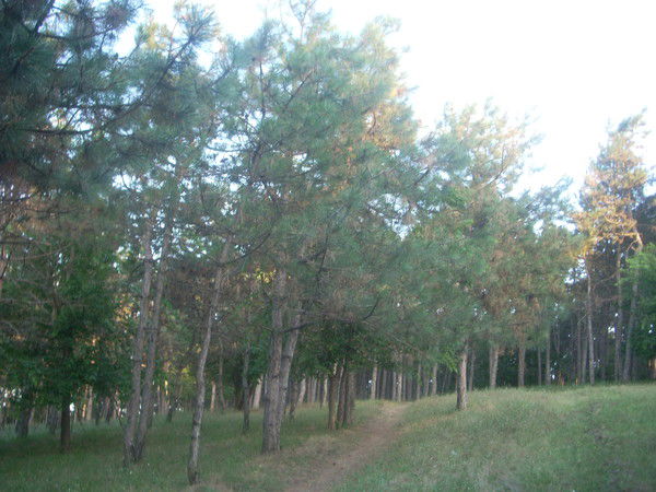 Галина Галина